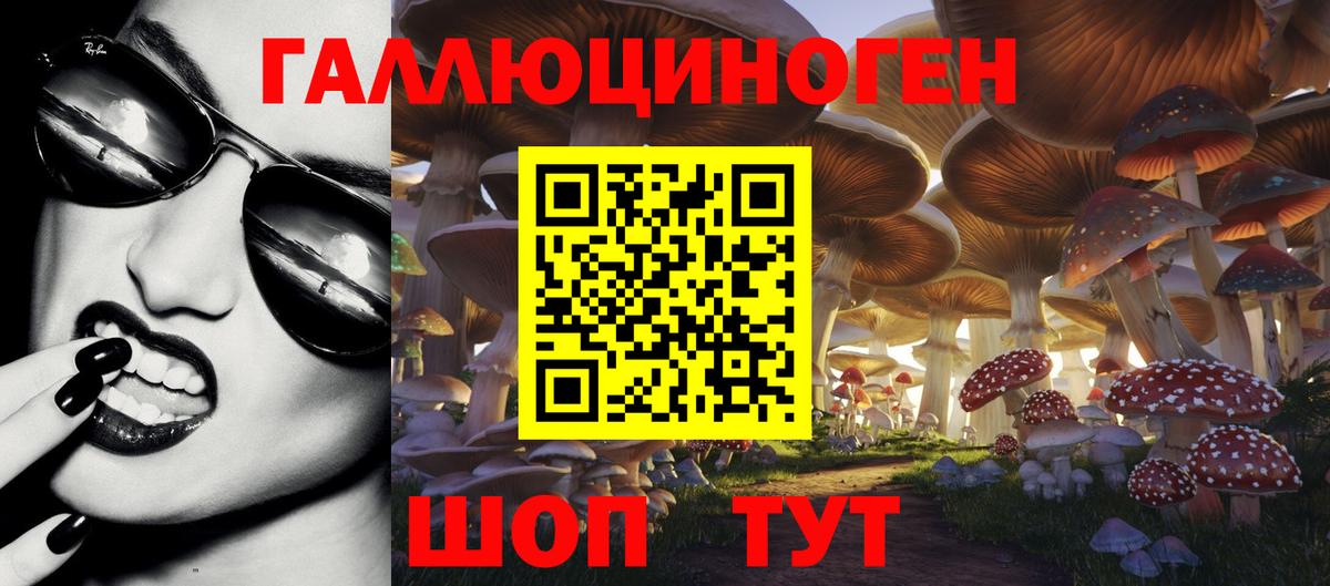 Галлюциногенные грибы прущие грибы Нижний Тагил